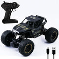 Monster Truck Rock Crawler